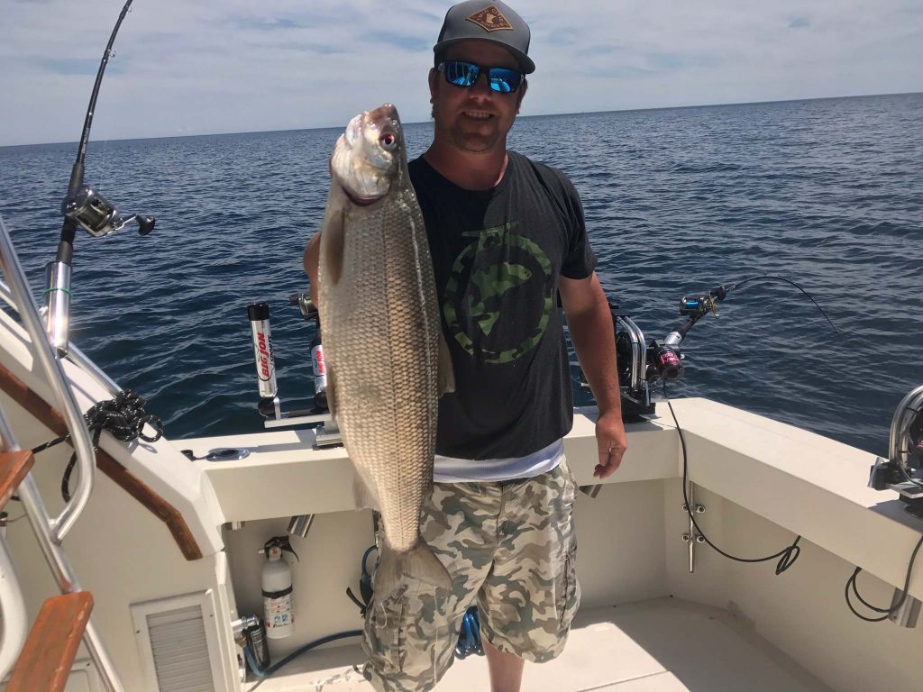 Fisherman holding white fish, Lake Michigan, Charter Fishing